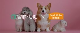 微信公众号封面图 微信公众号封面图